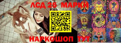 гидропоника Аргун