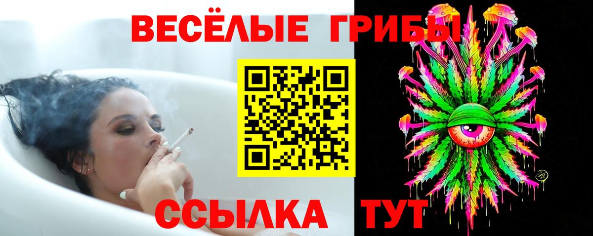 Вятские Поляны  Галлюциногенные грибы MAGIC MUSHROOMS  Вход с VPN 