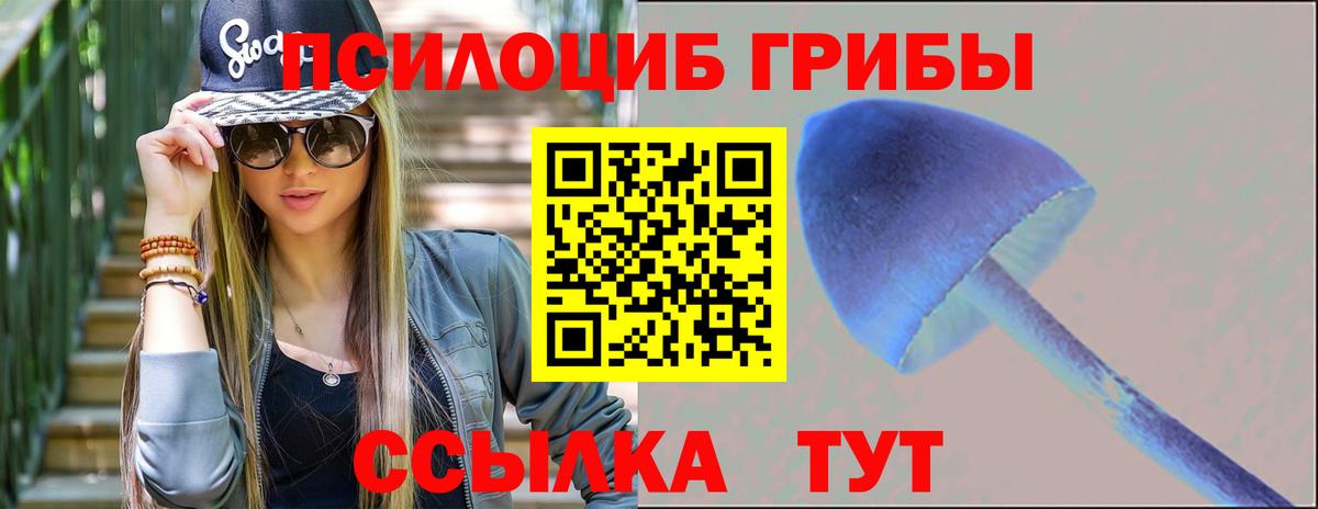 Псилоцибиновые грибы Psilocybe Вятские Поляны